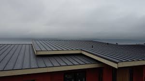 Best Emergency Roof Repair Services  in Warren, IN